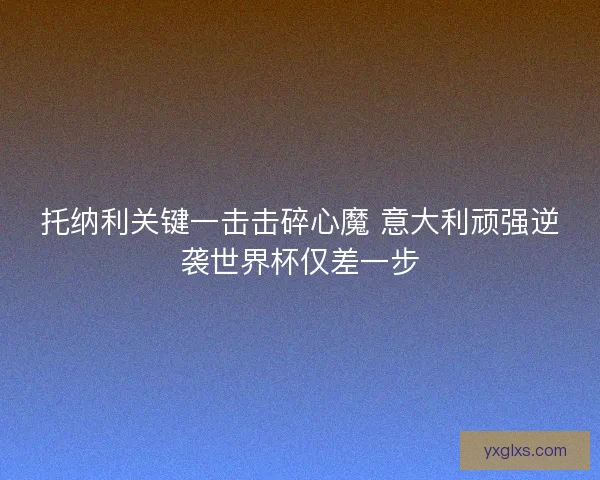 托纳利关键一击击碎心魔 意大利顽强逆袭世界杯仅差一步